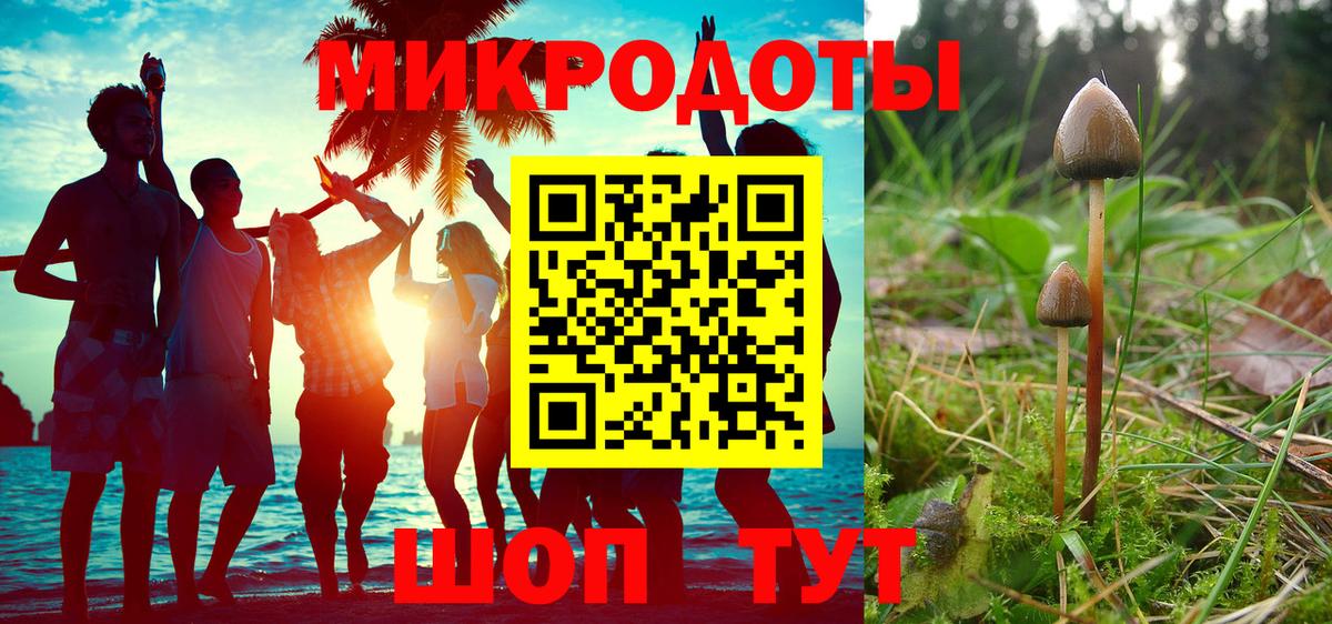 Курчалой  где продают   Галлюциногенные грибы мухоморы  Вход с VPN  Псилоцибиновые грибы Cubensis 